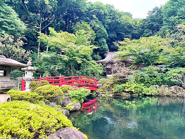 「周辺の街並み」物件のある小金井市貫井南町には、自然豊かな「貫井神社」があります。美しい池にかかる赤い橋や豊かな緑に癒やされる、休日のお散歩にぴったりの心安らぐスポットです。