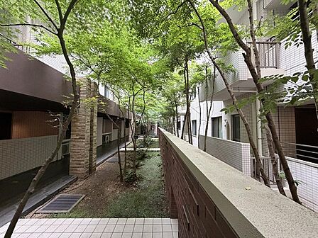住戸内はもちろん、共用部や周辺の街並みなども併せてご見学いただけます。