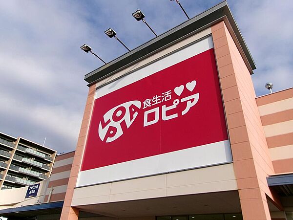 ロピア町田多摩境ミスターマックス店まで約323m