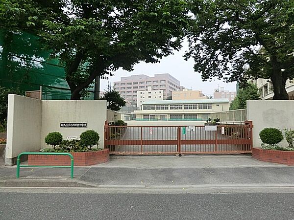 練馬区立石神井東中学校まで約439m