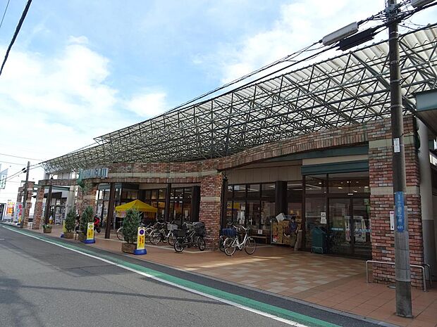 マルフジ千ヶ瀬店まで約1109m