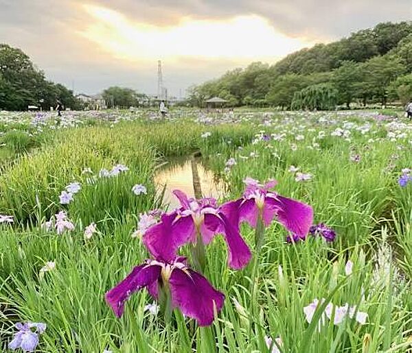 八国山緑地公園まで約350m