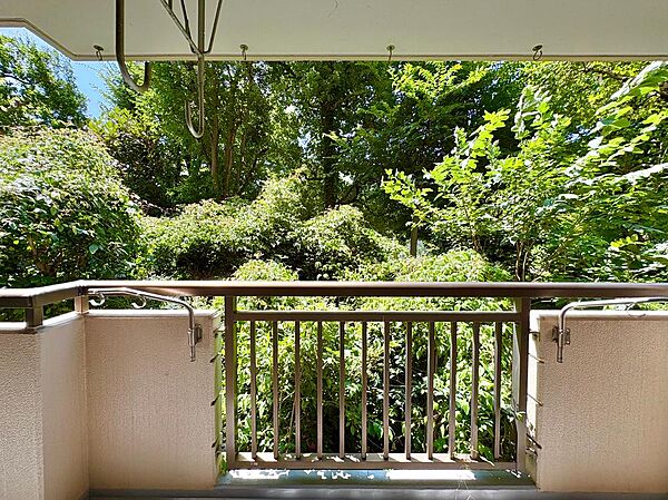 現地からの眺望です。実際の日当たりなどは、現地にてご確認ください。