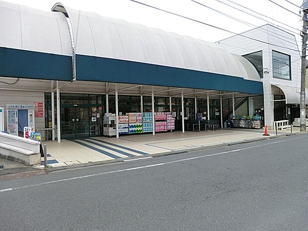 マルフジ東中神店まで約904m