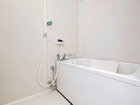お子様と遊びながら、のんびり入浴することもできそうなバスタブです。