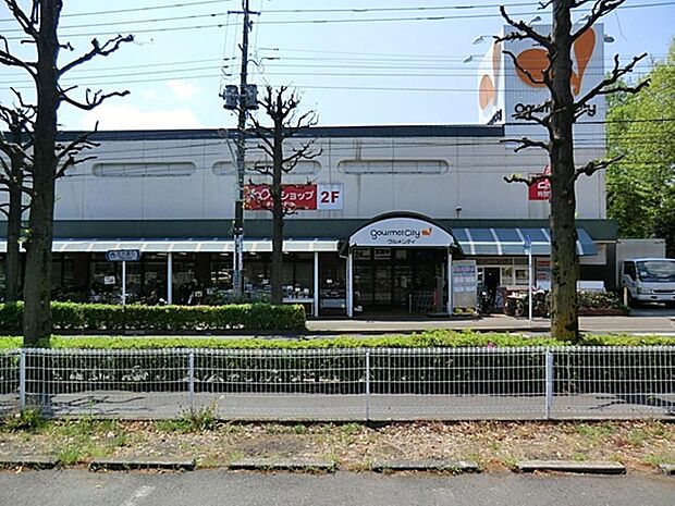ダイエーグルメシティ小金井店まで約1665m