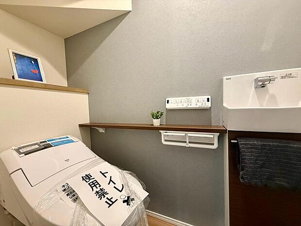 サッと手を洗える、手洗いカウンター付きのトイレスペースです。