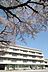 周辺：西東京市立田無第二中学校まで約259m