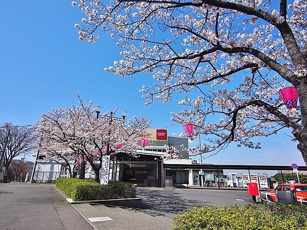 稲城駅まで約197m
