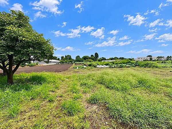 建築条件なしの土地です。お好みのハウスメーカーや工務店で建築できます。