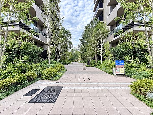 住戸内はもちろん、共用部や周辺の街並みなども併せてご見学いただけます。