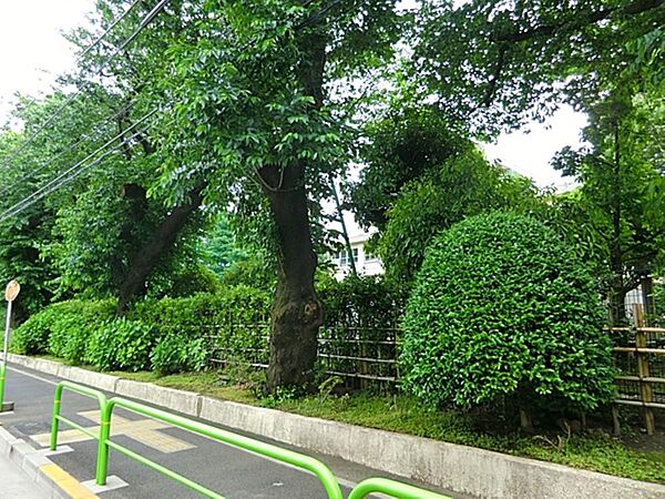 練馬区立中村中学校まで約441m