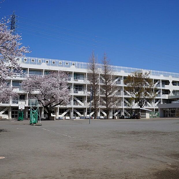 府中市立本宿小学校まで約650m