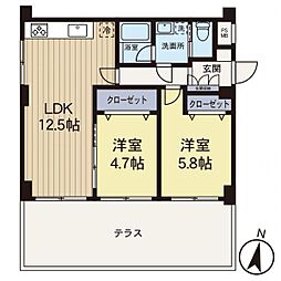 セザール第二綱島