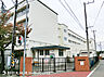周辺：横浜市立川和小学校900ｍ