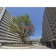 目黒駅より徒歩2分 8階 築23年5ヶ月の賃貸物件