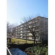 六浦駅より徒歩9分 3階 築54年6ヶ月の賃貸物件