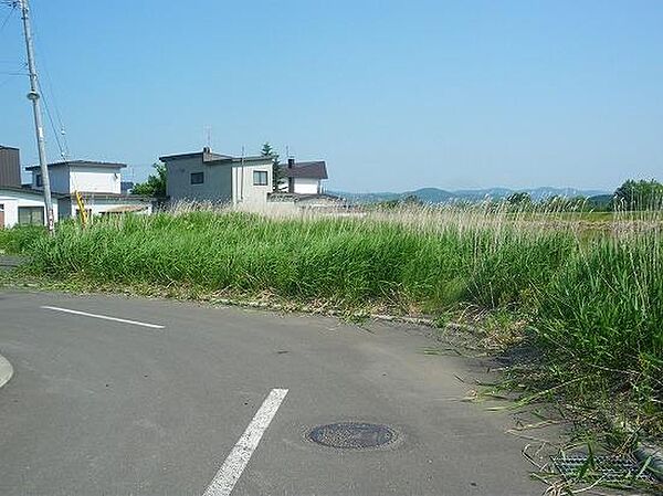 外観：301000078540