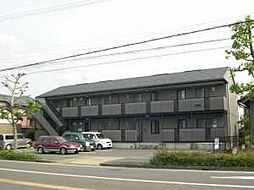 シャルマンドミール 205