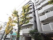 サンメゾン大開 7階 築37年10ヶ月の賃貸物件