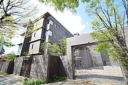 Amistad（アミスター） 207