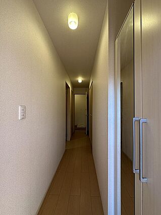 過去の写真