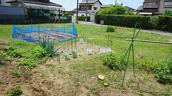 東から