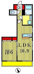 JR常磐線 新松戸駅 徒歩11分の賃貸マンション 2階1LDKの間取り