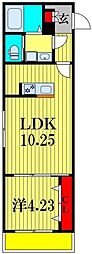 RIZE柏たなかIII 3階1LDKの間取り