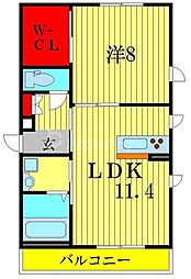 アルファコート 1LDKの間取図画像