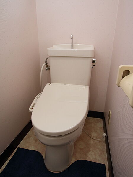 画像9:トイレの様子 ウォシュレットタイプです