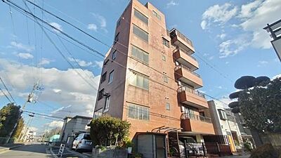 外観 外観