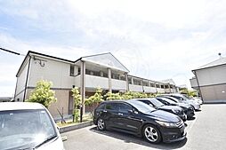 南海線 泉大津駅 徒歩10分の賃貸アパート