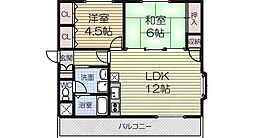 ステートリー羽衣 4階/-