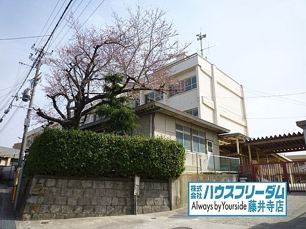 藤井寺市立道明寺小学校