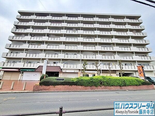 外観：327002237829