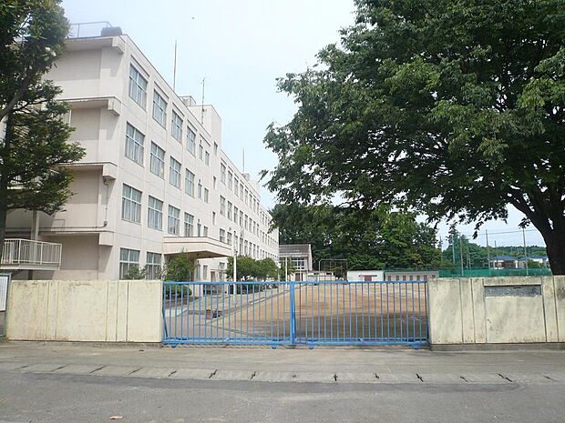 上和田中学校まで約245ｍ