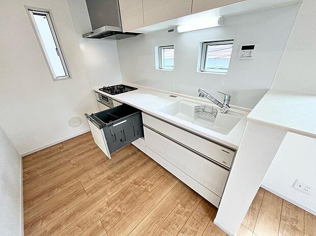 システムキッチン、食器洗い乾燥機付き