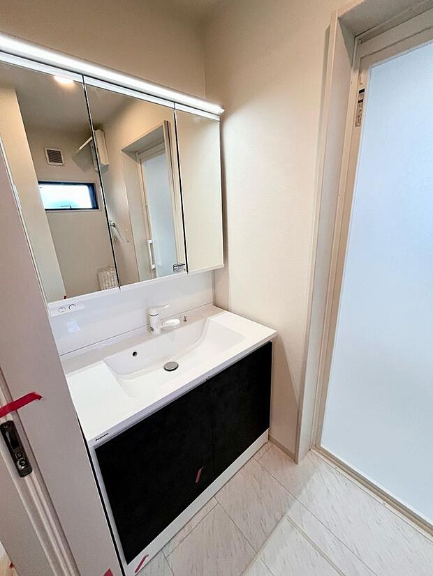 ハンドシャワー付き洗面化粧台