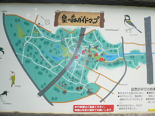 泉の森まで約905m