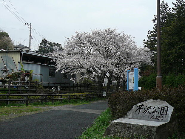芹沢公園まで約835m