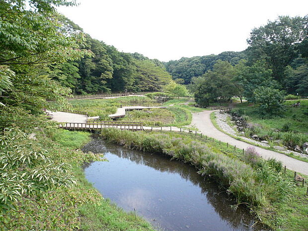 泉の森まで約585m