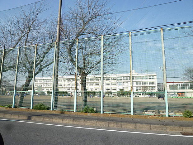 東中学校まで約790m