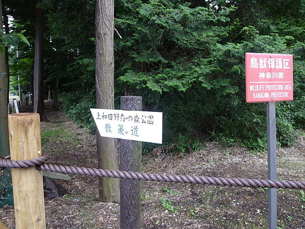 上和田野鳥の森まで約785m