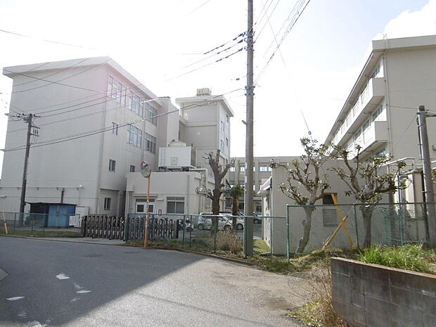 城山中学校まで約880m