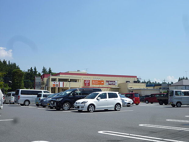 ロピア綾瀬店まで約90m