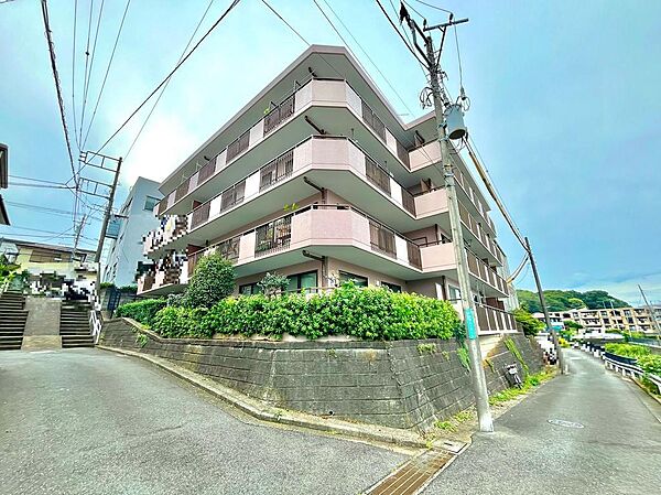 販売現地