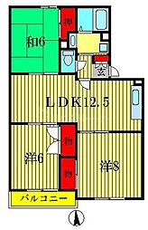 セントパーク・ハイツ 3LDKの間取図画像