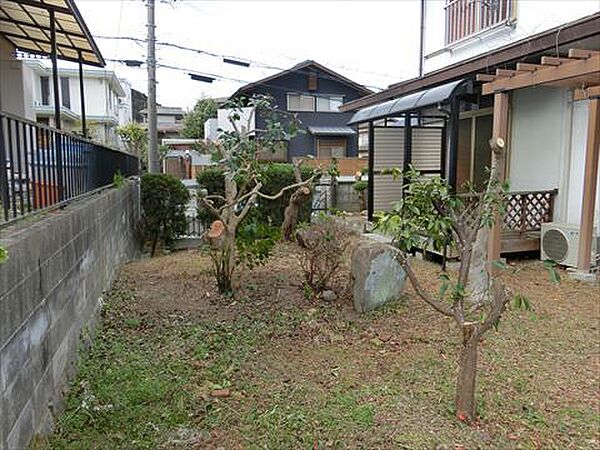 庭