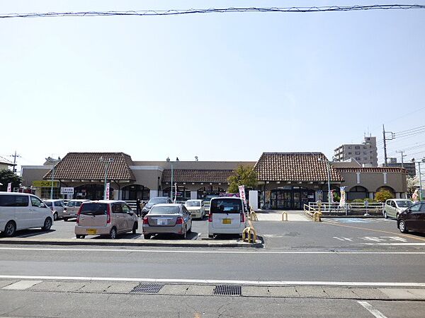 画像19:【スーパー】とりせん・新前橋店まで614ｍ